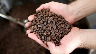 Finanzas Públicas apoya ley de reactivación del café
