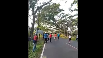 Botan un árbol para bloquear ingreso a Malacatán, San Marcos