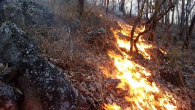 Autoridades combaten 25 incendios forestales activos
