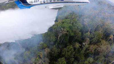 VIDEO. Incendio en Parque Nacional Mirador Río Azul, en Petén, es controlado en su totalidad