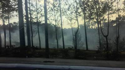 VIDEO. Bomberos combaten incendio forestal en la zona 15 de la capital