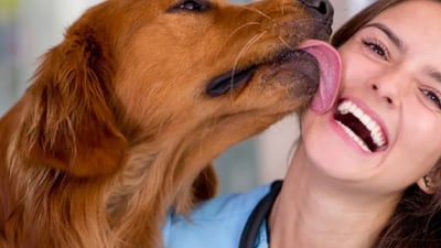 Besos de perro pueden transmitir “superbacterias” resistentes a los antibióticos