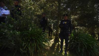 Policía detuvo a 55 personas por comercializar ramillas de pinabete
