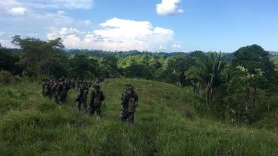 Ejército localiza plantación de droga en Alta Verapaz