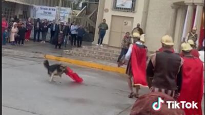 VIDEO. Perro en situación de calle defiende a Jesucristo en viacrucis