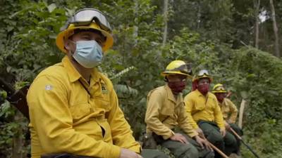 Incendios forestales en Petén dejan más de 2 mil hectáreas dañadas