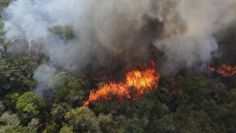 VIDEO. Se quema La Laguna del Tigre y el Remate, Petén