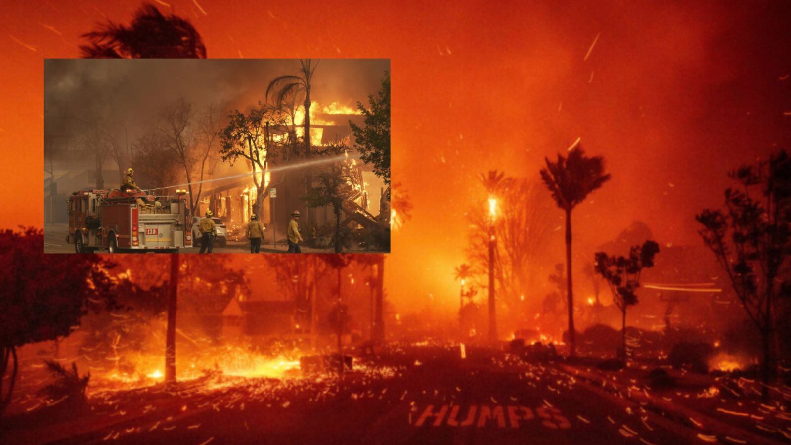 los efectos de estos incendioshan sido graves.