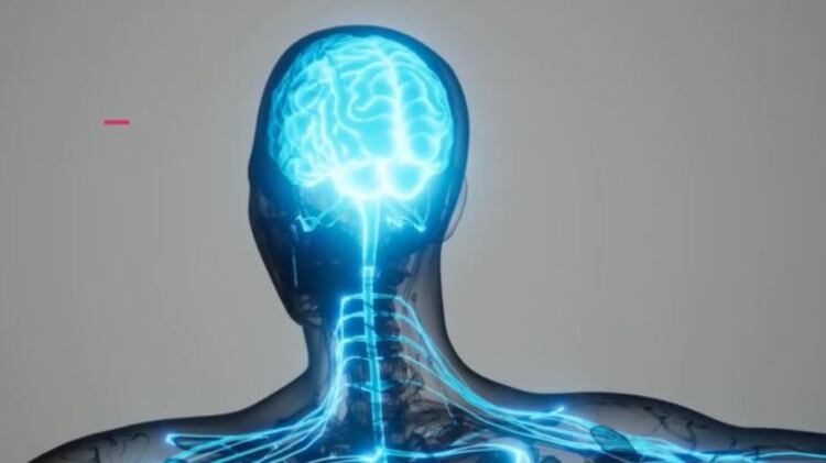 Suchitepéquez sigue siendo el departamento más afectado por esta enfermedad con 65 casos