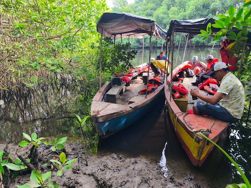 El Inab y el Fondo Mundial para la Naturaleza conservan el manglar en Iztapa. Foto: Kenneth Monzón