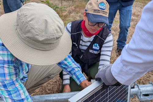 Refuerzan monitoreo agroclimático en Guatemala