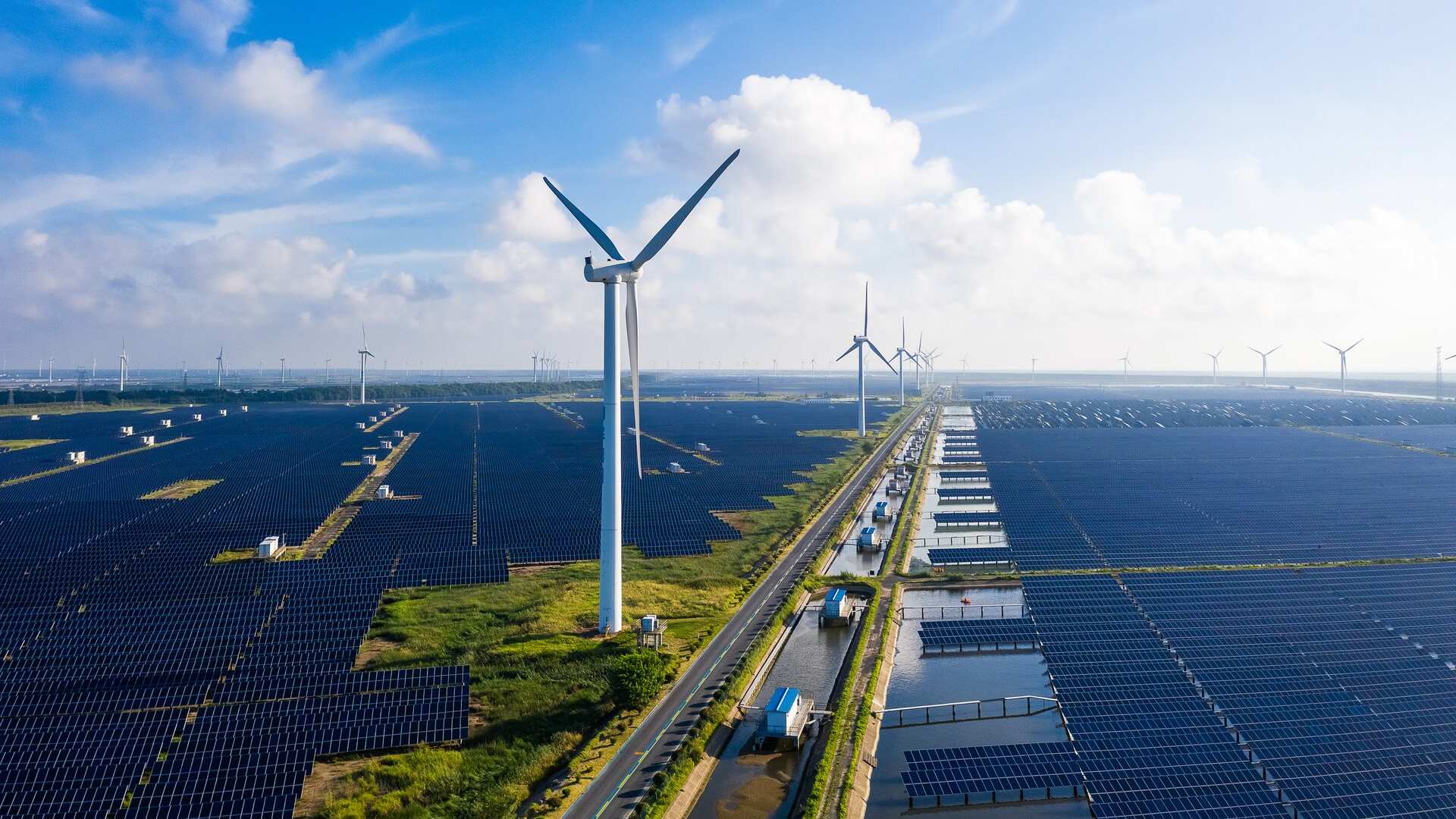 La sostenibilidad no es una tendencia, sino una urgencia ética que requiere acciones inmediatas y concretas. Foto: cortesía.