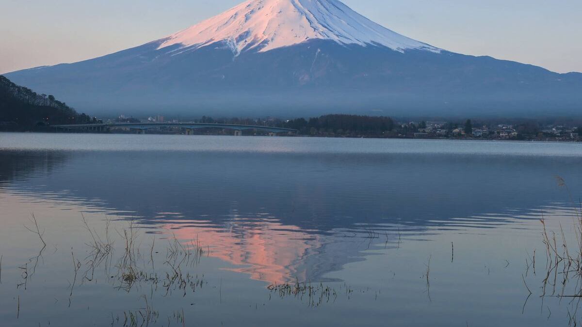 Pico en Japón. (Foto: Redes sociales)