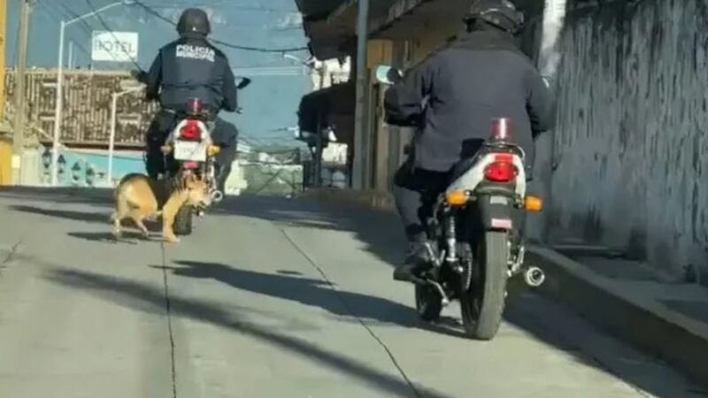 VIDEO. Agente de tránsito amarra a perro a su motocicleta y lo arrastra