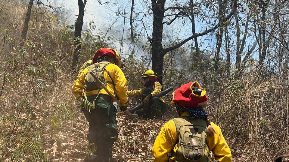 Esta es la cantidad de incendios forestales activos en Guatemala