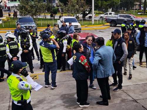 MP lidera operativos en mercados para combatir la venta ilegal de pinabete