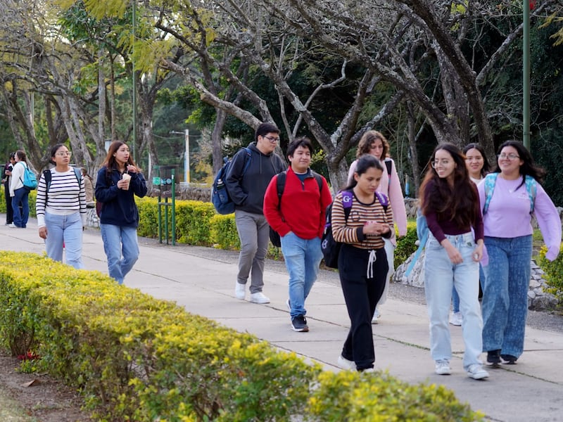 ¿Cuánto tiempo durarán las clases virtuales en la Usac?