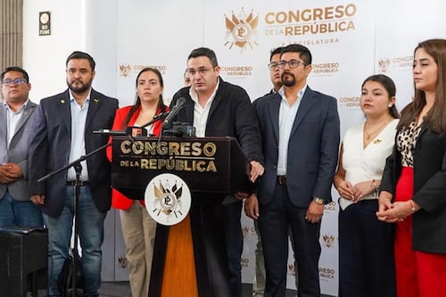 Semilla rechaza voto de diputada Ivanna Luján en elección de magistrado suplente de la CC