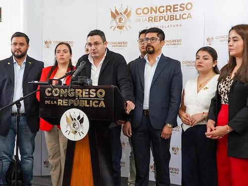 Semilla rechaza voto de diputada Ivanna Luján en elección de magistrado suplente de la CC