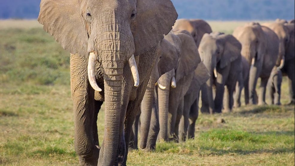 (Foto: Redes sociales)