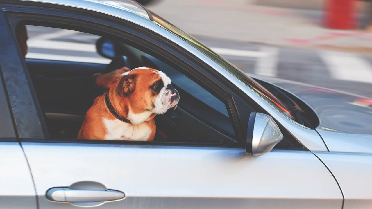 Guatemala tiene 6 millones de vehículos hasta abril de 2025.