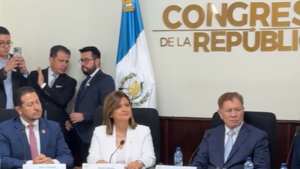 Karin Herrera acude al Congreso.