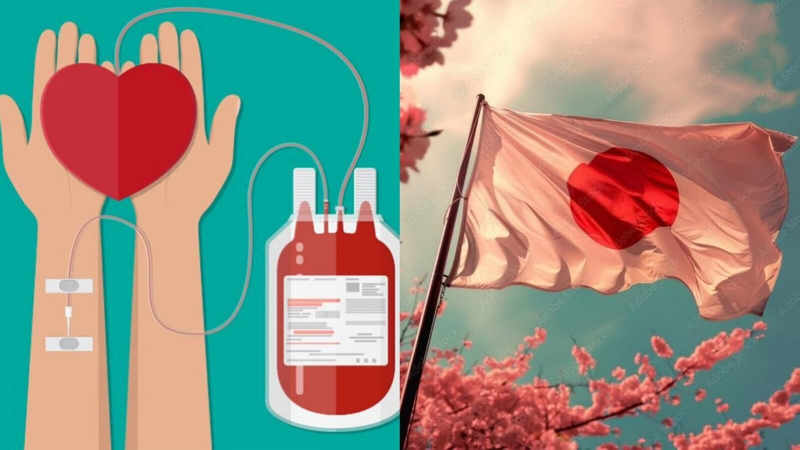 Histórico! Japón desarrolla sangre artificial universal que podría usarse en cualquier persona, sin importar su tipo de sangre.