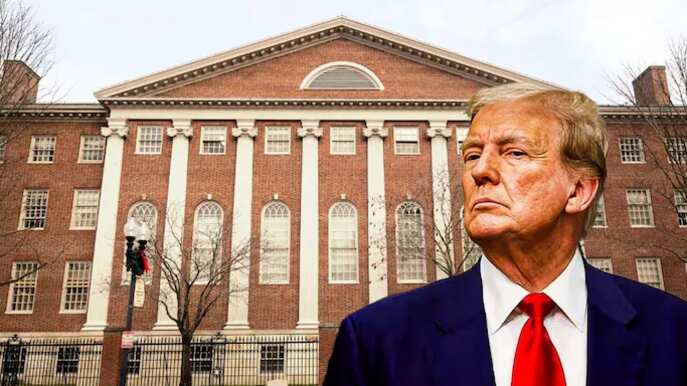 Harvard le declara la guerra a Donald Trump