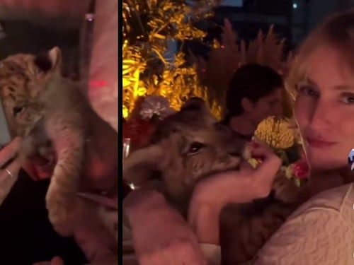 Polémica por león cachorro en plena fiesta de famoso DJ en México