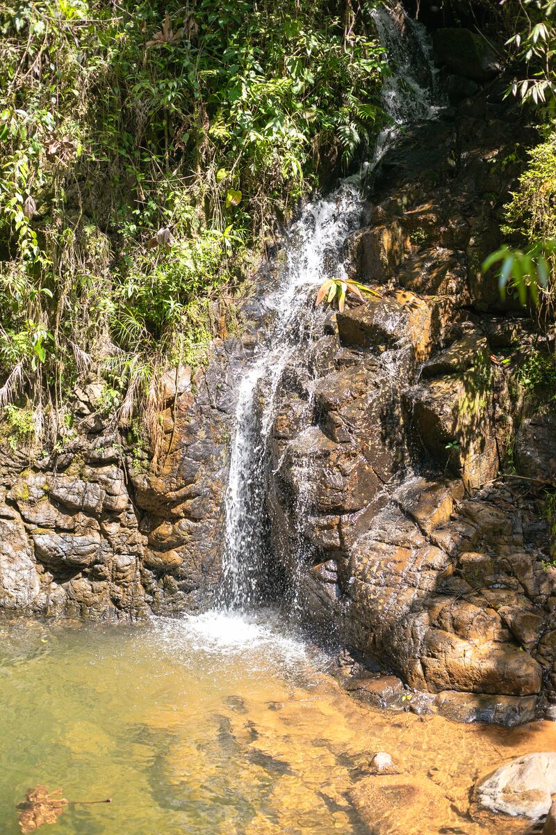 Ranchitos del Quetzal, una reserva natural privada ubicada en Purulhá, Baja Verapaz. Foto: Conap
