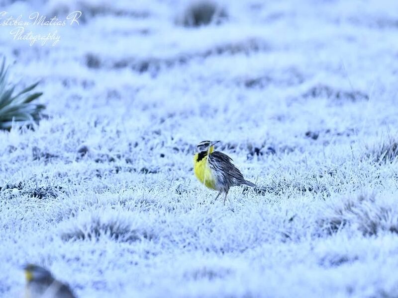 El asombroso manto blanco que cubrió las cumbres de Huehuetenango