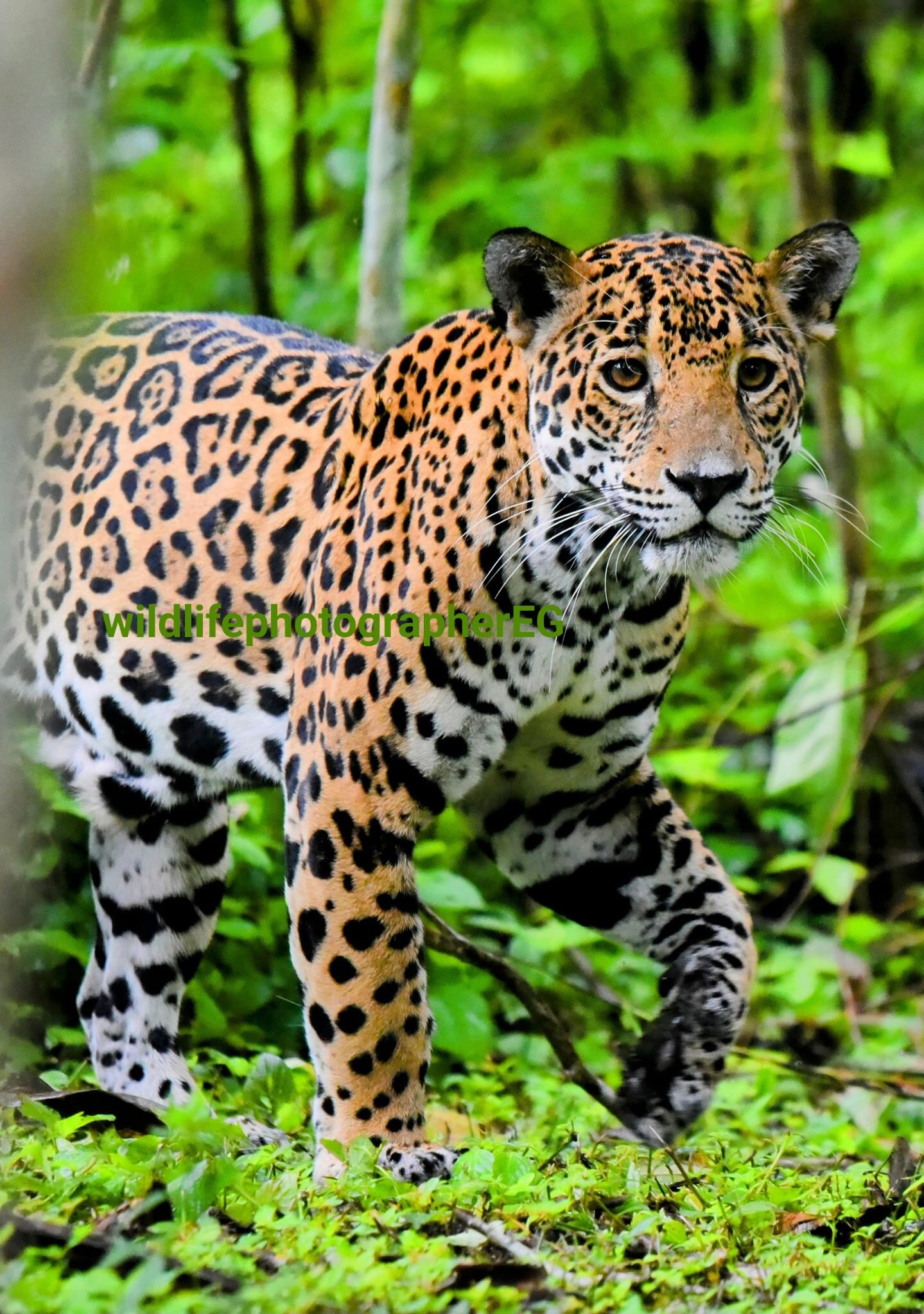 Esdras García /Facebook