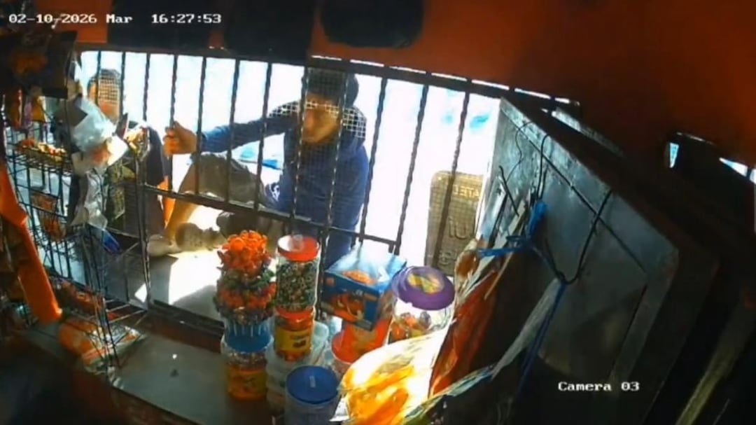 Ladrones son captados por cámaras de seguridad. Foto: RRSS