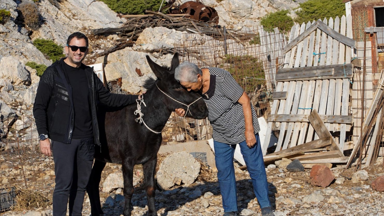 La compañía que nos dan los animales es única