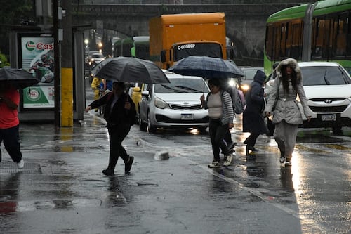 Lluvias provocan derrumbes y caída de árbol en varias zonas de la capital