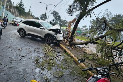 Camionetilla derriba árbol en el bulevar Landívar