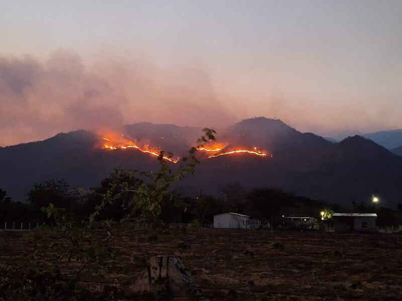 Incendio forestal consume la Sierra de las Minas en Zacapa 
