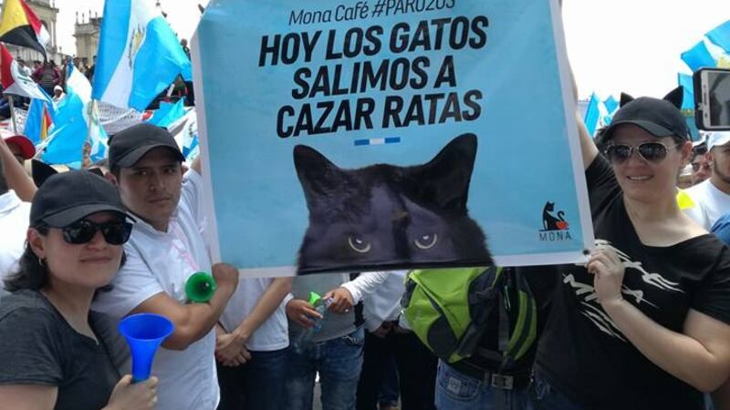 #20S: Los carteles de la indignación