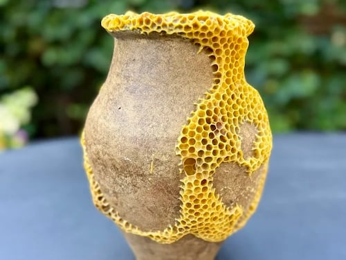 Cerámicas rotas renacen gracias a una colaboración entre una artista y las abejas