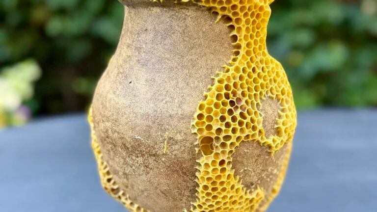 La artista canadiense Ava Roth deja que las abejas construyan panales que rellenan las grietas y las partes faltantes de piezas de cerámica rotas. Foto: cortesía.