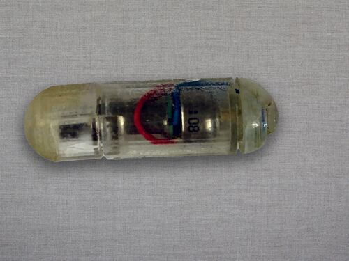 Esta píldora inteligente vibra para hacerte sentir saciado