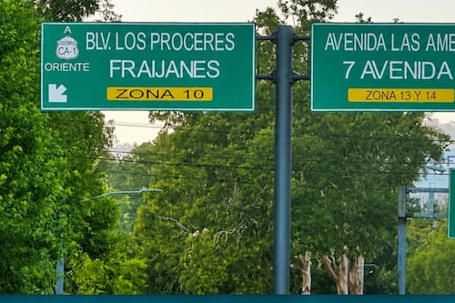 VIDEO. Agente PMT rescata a iguana que era apedreada en bulevar Los Próceres