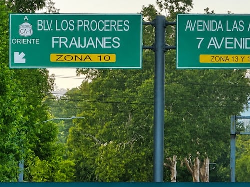 VIDEO. Agente PMT rescata a iguana que era apedreada en bulevar Los Próceres