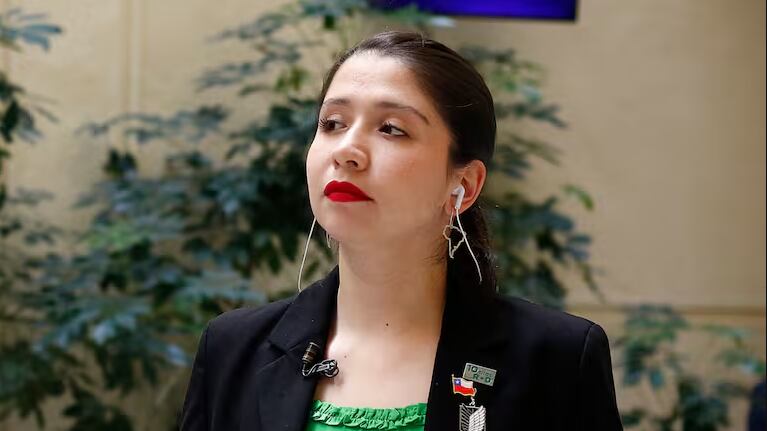 Diputada chilena choca tras perseguir ladrones bajo los efectos del alcohol