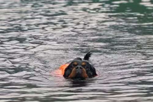 La playa escondida que debes visitar cerca de la Ciudad de Guatemala