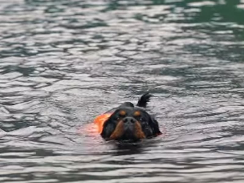 La playa escondida que debes visitar cerca de la Ciudad de Guatemala