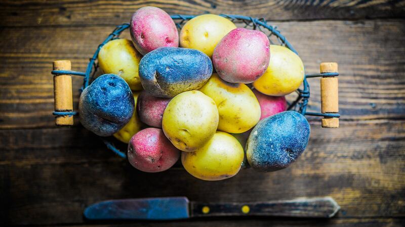 Día de pascua sin huevos: estadounidenses buscan otras alternativas por altos precios