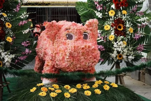 Tu plan perfecto para el finde: Descubre el encanto floral de Morenos de Mixco