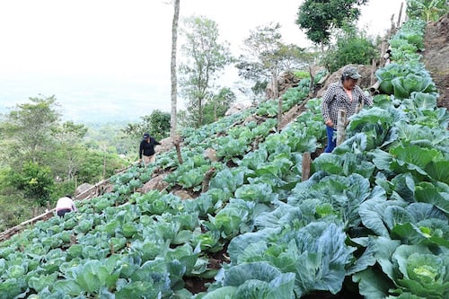 Reportan temperaturas debajo de los 5 grados en 5 departamentos