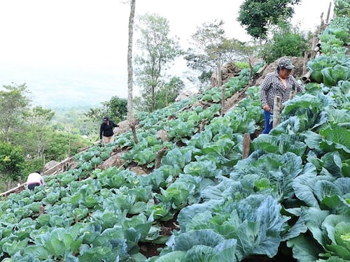 Reportan temperaturas debajo de los 5 grados en 5 departamentos